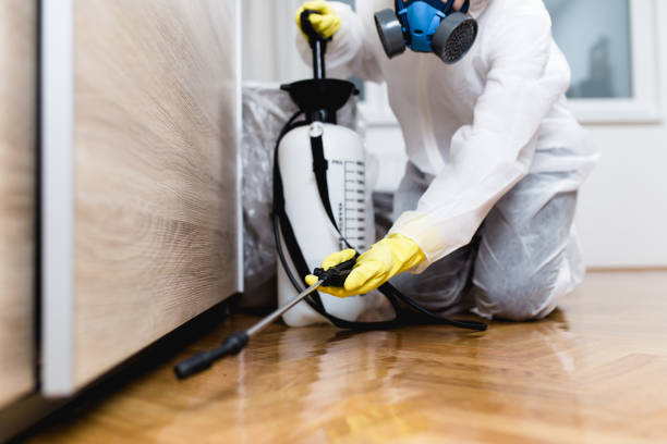 Best Emergency Pest Control  in Fifth Street, TX