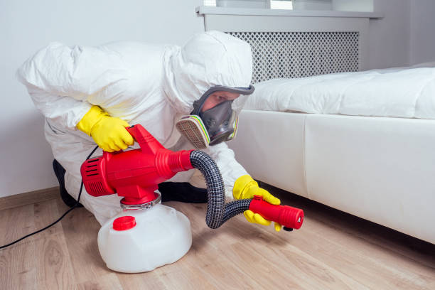 Trusted Fifth Street, TX Pest Control Experts