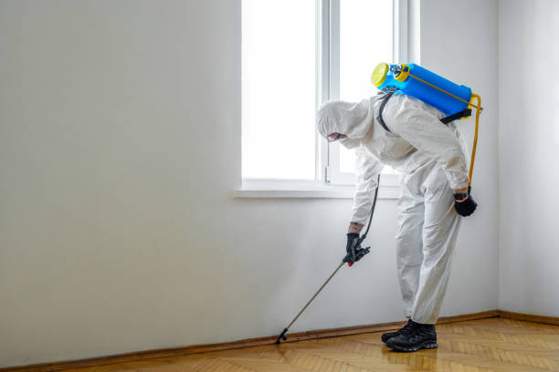 Pest Control for Restaurants in Fifth Street, TX