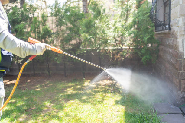 Wasp Removal Services in Fifth Street, TX